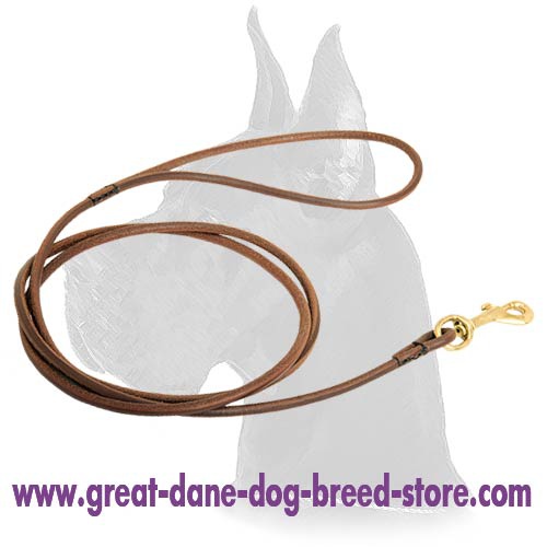 Deluxe Round Leather Leash for Great Dane