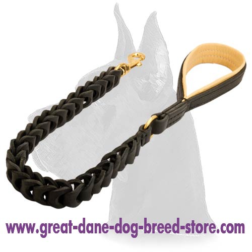 Anti-pulling Leather Leash with Padded Handle for Great Dane