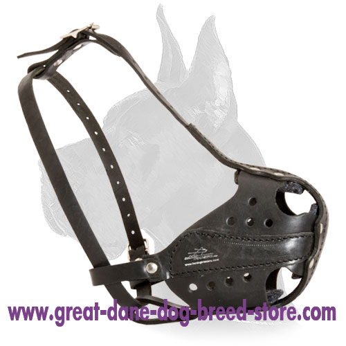 Great deals dane halter