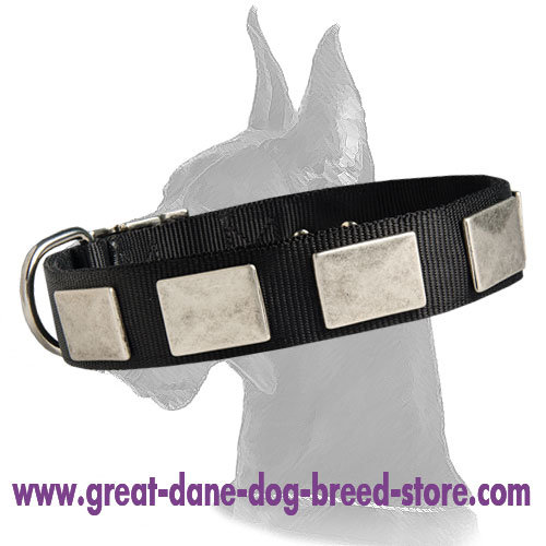 Nylon Collar with Vintage Nickel Plates for Great Dane - Click Image to Close