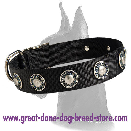 Nylon Collar with silver circles for Great Dane