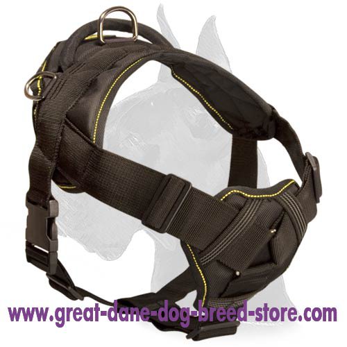 Innovative Nylon Harness with breast plate for Great Dane