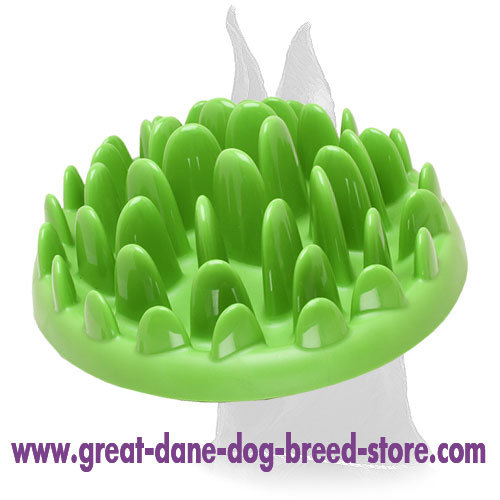 Small Interactive Great Dane Feeder For Wet And Dry Food Ka16