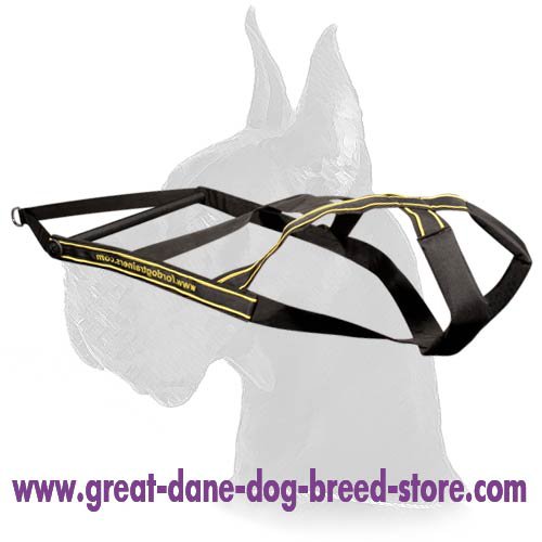Nylon Dog Harness for Great Dane pulling activities
