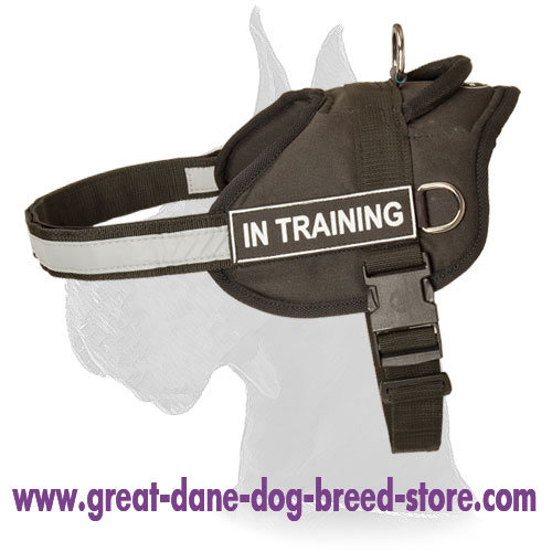 Nylon Great Dane Harness with Reflective Strap