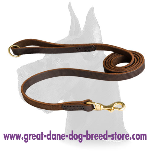 Leather Great Dane Leash Stitched