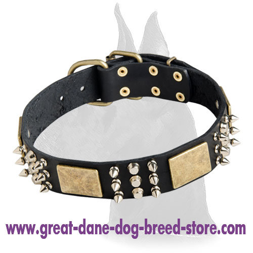 Leather Great Dane Collar with plates, spikes and pyramids