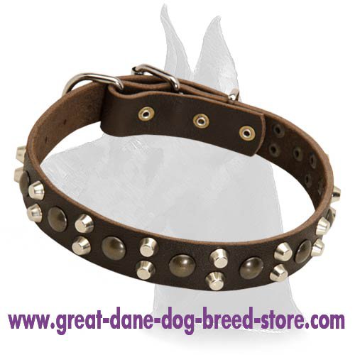 Leather Collar with Studs and Pyramids for Great Dane