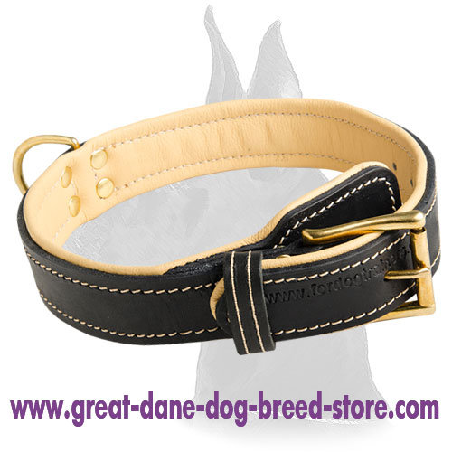 Super Soft Leather Collar for Great Dane - Click Image to Close