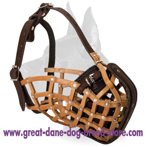Attack/Agitation Training Leather Muzzle for Great Dane
