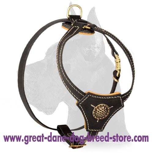 Royal Padded Leather Harness for Great Dane puppy