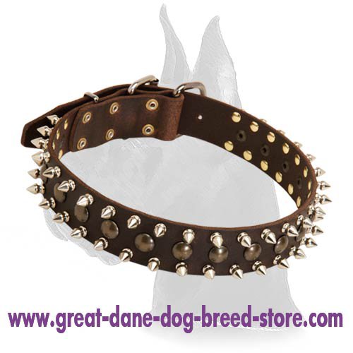 Leather Spiked and Studded Collar for Great Dane