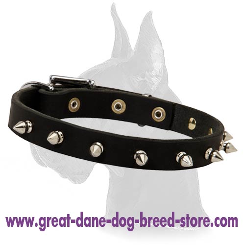 Leather Collar with hand-set spikes for Great Dane