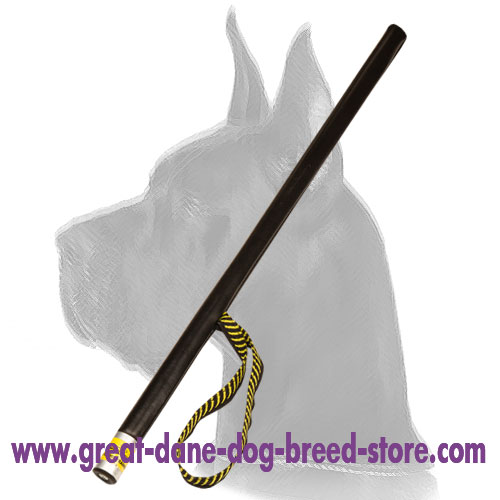 Agitation Stick Ideal For Schutzhund Training for Great Dane