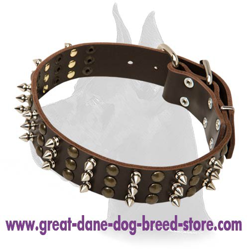 Leather Collar with Spikes and Studs for Great Dane