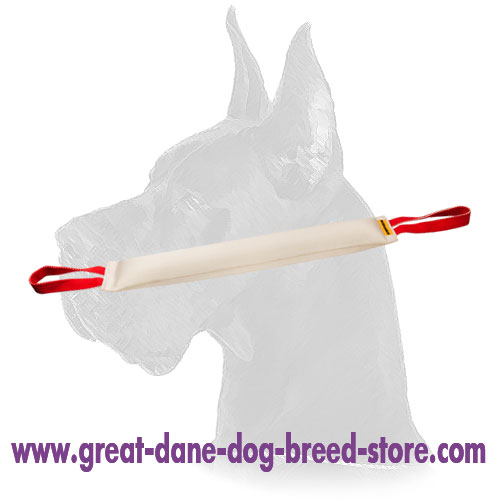 Huge Fire Hose Dog Bite Tug with 2 Handles for Great Dane