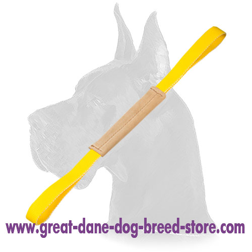 Soft Leather Pocket Toy with Two Handles for Great Dane