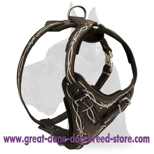 "Barbed Wire" Painted Leather Harness for Great Dane - Click Image to Close