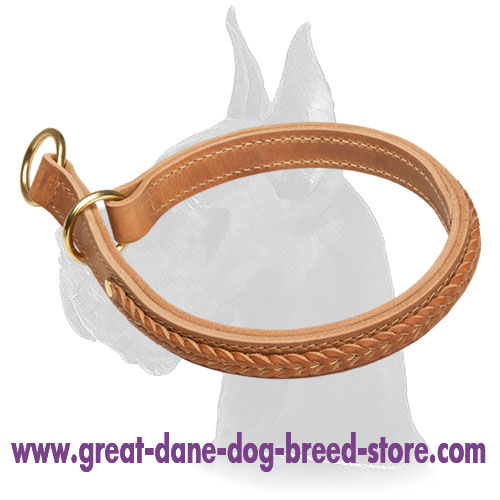 Braided Leather Choke Collar for Great Dane