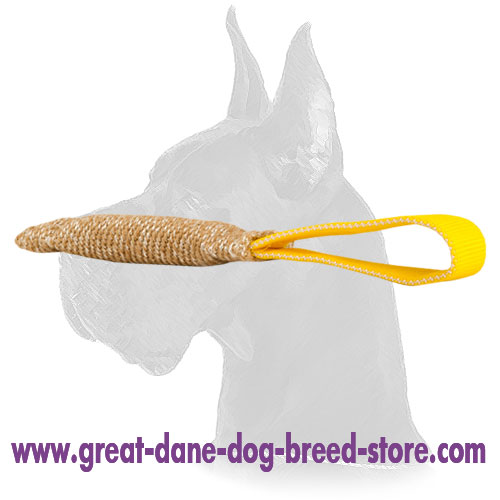 Durable Training Jute Bite Tug for Puppy Joy for Great Dane