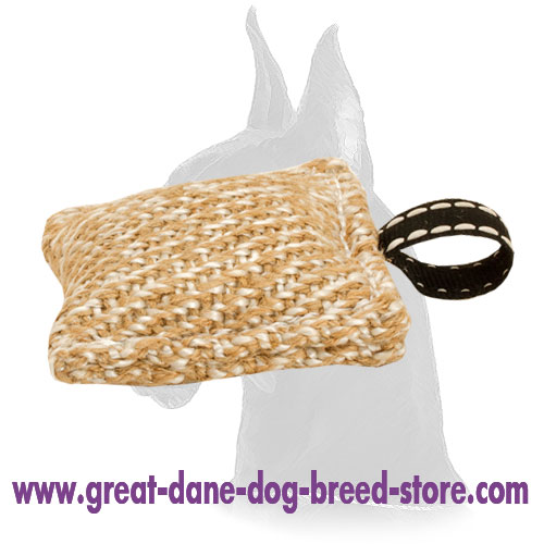 Train your Puppy Everywhere with Pocket-Size Great Dane Bite Tug