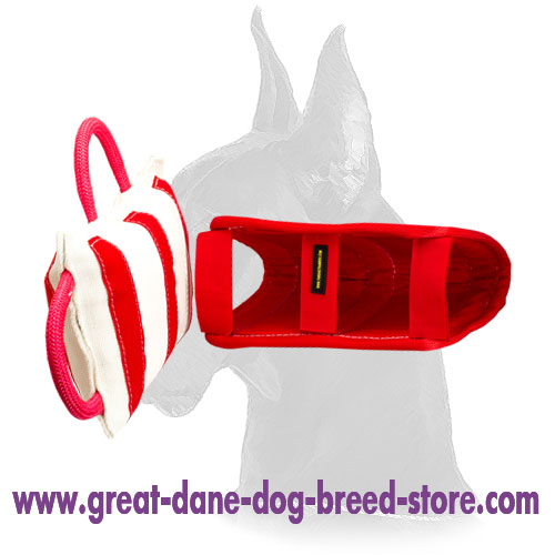 Young and Adult Dogs Bite Training Pillow with Jute Cover for Great Dane