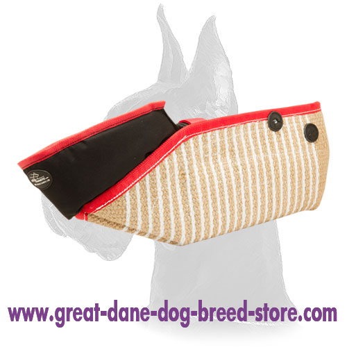 Puppy Sleeve Meant for Prosperous Dog Bite Training