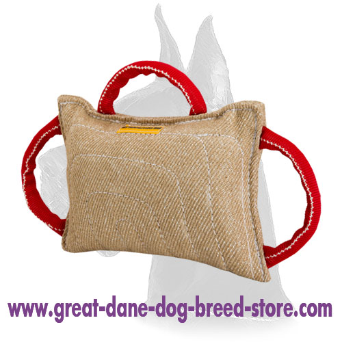 Upgraded Dog Bite Pillow for Training your Great Dane