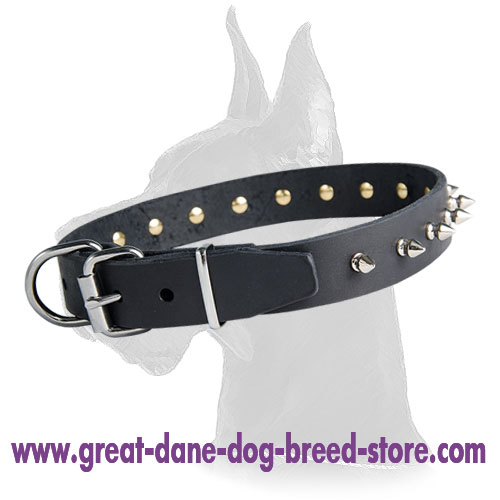 Spiked Leather Dog Collar for Great Dane walking