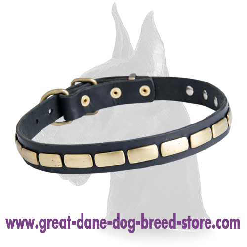 Trendy Leather Collar with Brass Plates for Great Dane