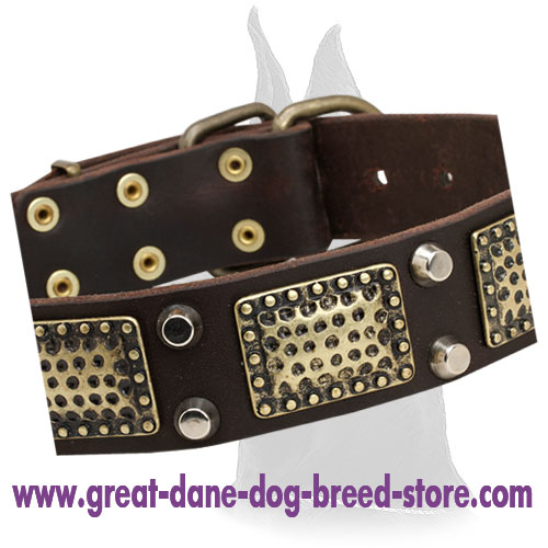 Great Dane Leather Collar with Vintage Decoration