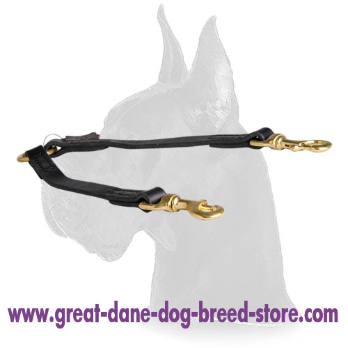 Double Dog Leash Coupler for two Great Danes