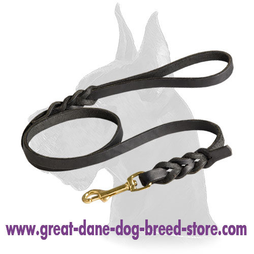 High Quality Handcrafted Leather Dog Leash for Walking the Great Dane