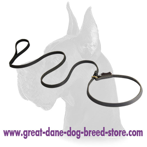 Leather Slip Lead 6 FT on 1/2'' for Great Dane