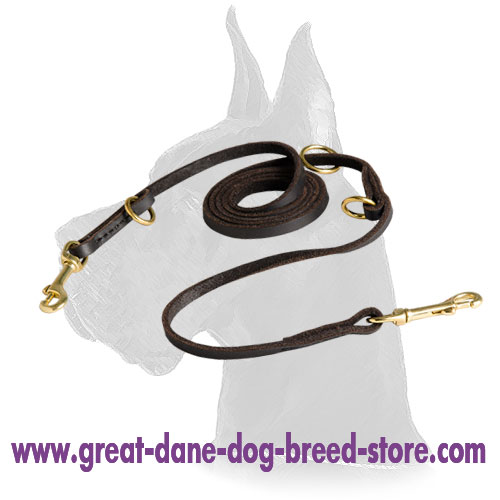 Multimode Leather Dog Leash for Great Dane Walking and Training