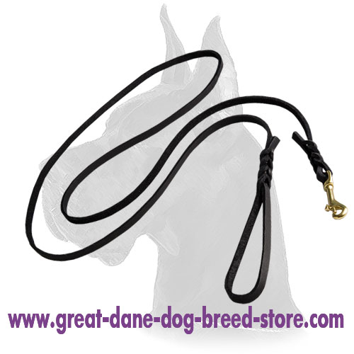 K9 Sport Leash-3/8'' Leather Dog Leash for Great Dane