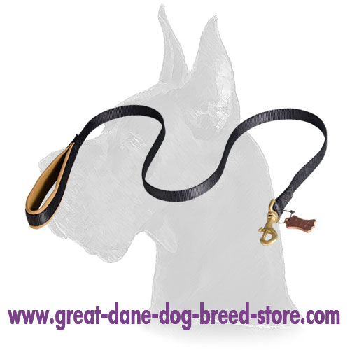 Nylon dog leash with support material on the handle for Great Dane