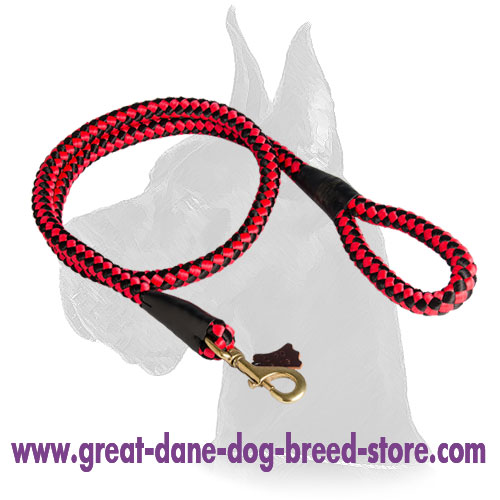 Cord nylon dog leash for large dogs like Great Dane