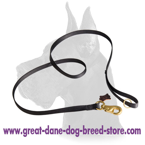 Universal Multitask Leash of Nylon for Great Dane