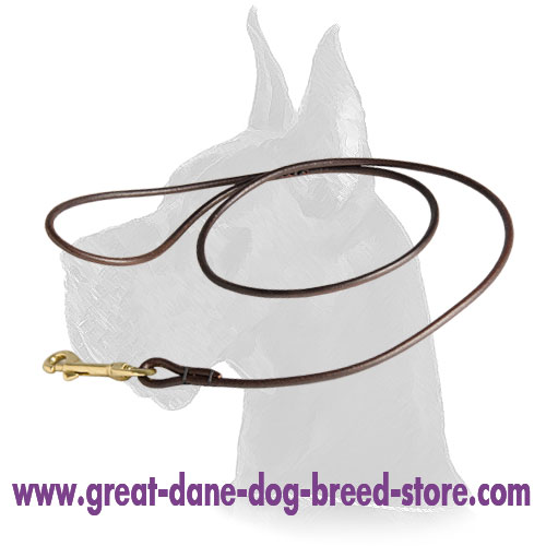 Leather dog shows round leash for Great Dane