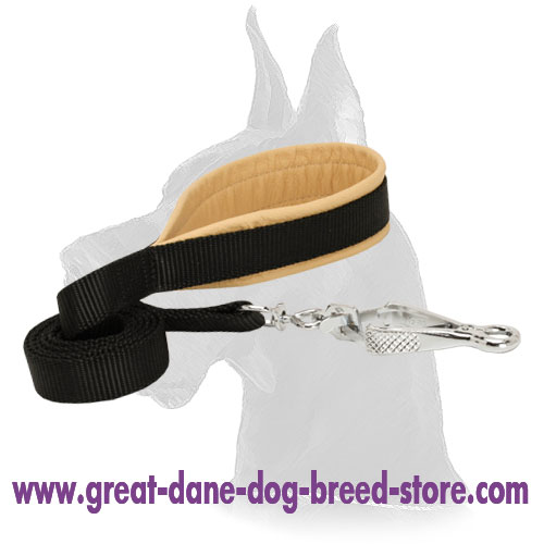 Nylon Dog Leash with Padded Handle and Scissor Type Snap Hook for Great Dane