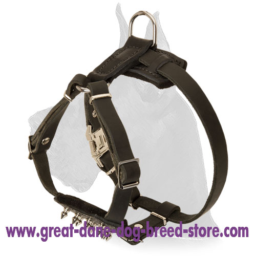 Leather Puppy Harness with Spiked Delicate Chest for Great Dane
