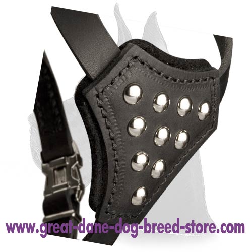 Great Dane Harness with Adjustable Straps for Puppy Walking and Training