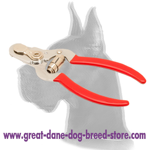 Nail Clipper - An easy way to keep your pet's paws looking prime : Great  Dane Breed: Dog Harness, Great Dane Dog Muzzle, Great Dane Dog Collar, Dog  Leash | 2023 [BUY NOW]