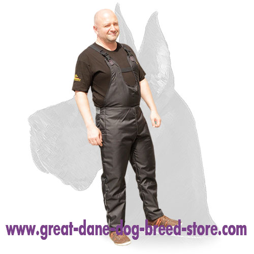 Protection scratch pants for Great Dane training