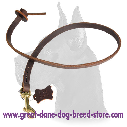 Dog Training Tabs-Leather Leash Tab for Great Dane
