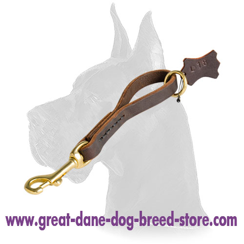 Leather Snap Tab 10 inch leash for Great Dane
