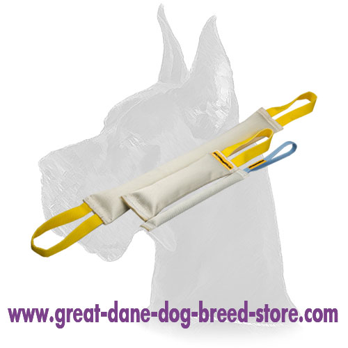 Great Dane Fire Hose Bite Tugs Training Set