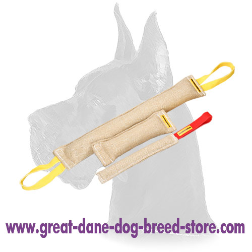 Training Set of Three Jute Tugs for Adult Great Dane - Click Image to Close