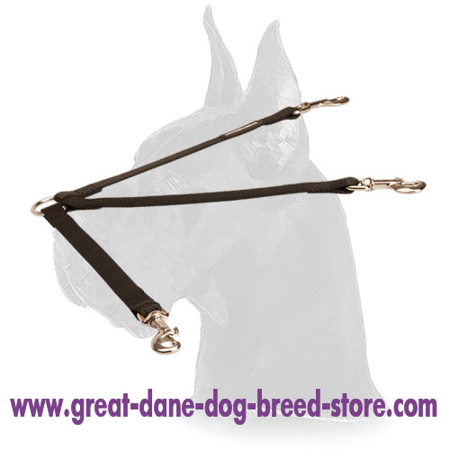 All weather Nylon Triple Lead for Great Dane